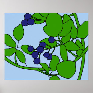 Poster couleur Blackberry Motif