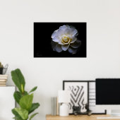 Poster couleur camélia blanc (Bureau à domicile)