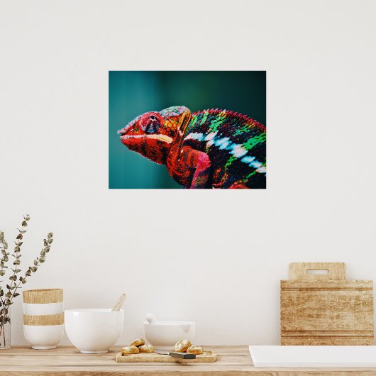 Poster Couleur Changement arc-en-ciel Chameleon Reptile (Cuisine)