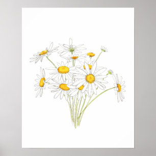 Poster couleur d'aquarelle blanche petite marguerite bouq