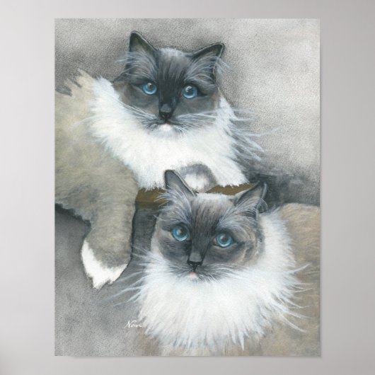 Poster Couleur d'aquarelle de chat bleu (Devant)