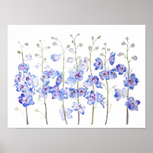 Poster couleur d'aquarelle du champ de delphinium de lark (Devant)