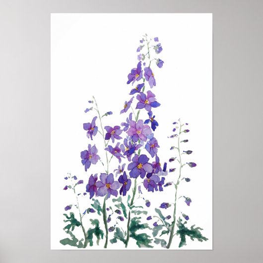 Poster couleur d'aquarelle violette bleu delphinium (Devant)