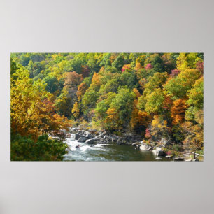 Poster Couleur d'automne dans le parc d'état d'Ohiopyle