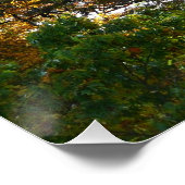 Poster Couleur d'automne dans le parc d'état d'Ohiopyle (Coin)