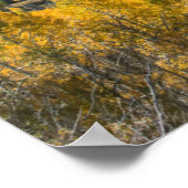Poster Couleur d'automne dans les Flat Tops | Forêt natio (Coin)