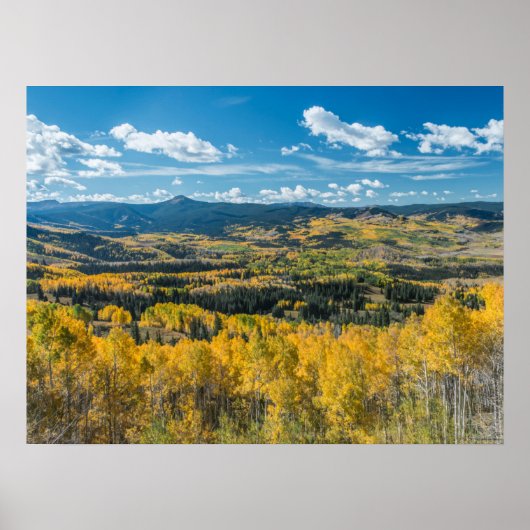 Poster Couleur d'automne dans les Flat Tops | Forêt natio (Devant)