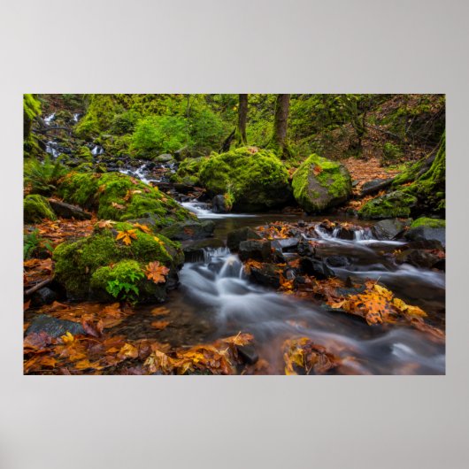 Poster Couleur d'automne le long des chutes de Starvation (Devant)