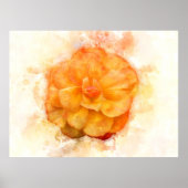 Poster Couleur de fleur de Begonia - wb2 (Devant)