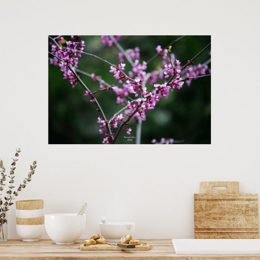 Poster Couleur de Yosemite (Cuisine)