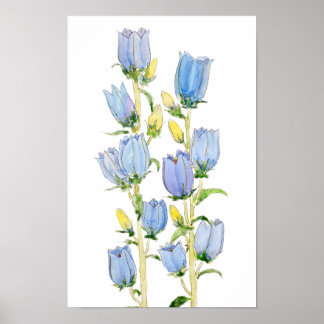 Poster couleur d'eau des cloches Canterbury bleues et vio