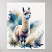 Poster Couleur d'eau douce Peinture d'une lama 5:4 (Devant)
