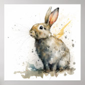 Poster Couleur d'eau douce Rabbit (Devant)