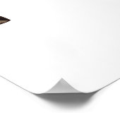 Poster Couleur dessinée à la main - Coiffure indienne amé (Coin)