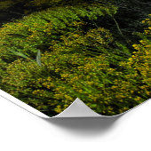 Poster Couleur du coucher de soleil (Coin)