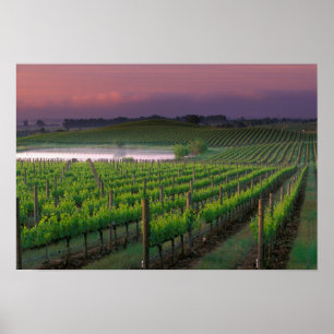 Poster Couleur du lever de soleil dans le brouillard loin