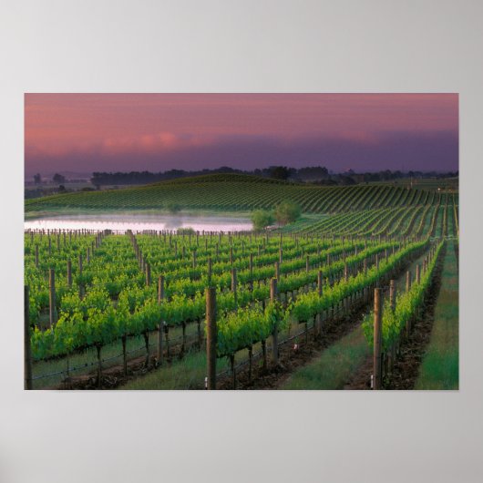 Poster Couleur du soleil dans le brouillard lointain derr (Devant)