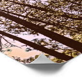 Poster couleur par les arbres (Coin)
