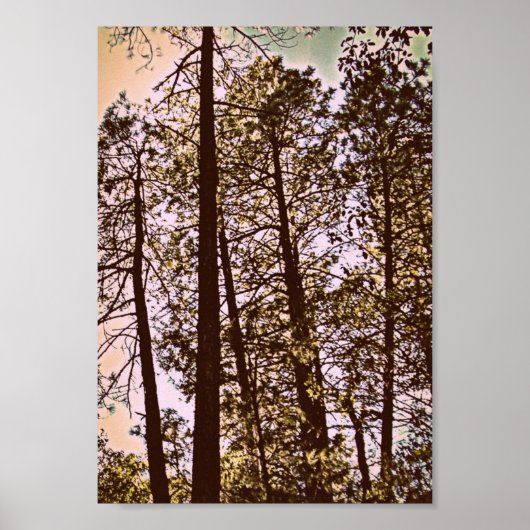 Poster couleur par les arbres (Devant)