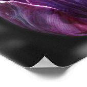 Poster Couleur partielle de la fleur de tulipe violette (Coin)