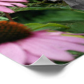 Poster Couleur partielle de la fleur Hibiscus (Coin)