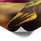 Poster Couleur partielle de la fleur rouge Gentienne Sepi (Coin)