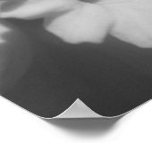 Poster Couleur partielle de la jonquille (Coin)