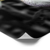 Poster Couleur partielle de la paire de fleur Iris (Coin)