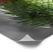 Poster Couleur partielle du chardon pourpre (Coin)