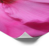 Poster Couleur partielle rose Hibiscus (Coin)