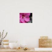 Poster Couleur partielle rose Hibiscus (Cuisine)