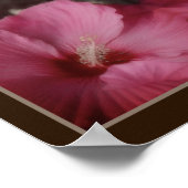 Poster Couleur partielle rose Hibiscus couleur Abstraite (Coin)