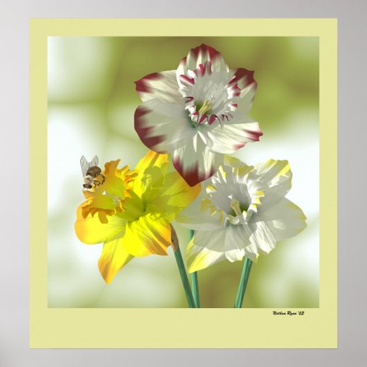 Poster Couleur préférée (Devant)