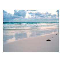 Couleur rose sur une plage au coucher du soleil