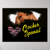 Poster Couleur solide des yeux de l'espagne Cocker (Devant)