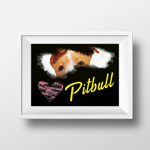 Poster Couleur solide des yeux Pitbull