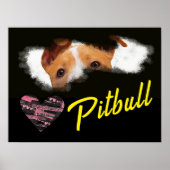 Poster Couleur solide des yeux Pitbull (Devant)