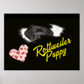Poster Couleur solide des yeux Rottweiler (Devant)