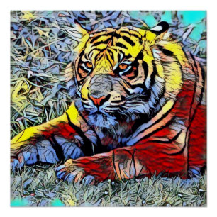 Poster Couleur - Tiger 2