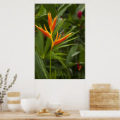 Poster Couleur tropicale (Cuisine)