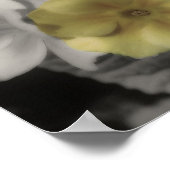 Poster Couleur Vintage jaune Primrose (Coin)