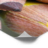 Poster Couleurs (Coin)