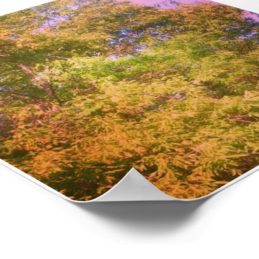 Poster Couleurs (Coin)