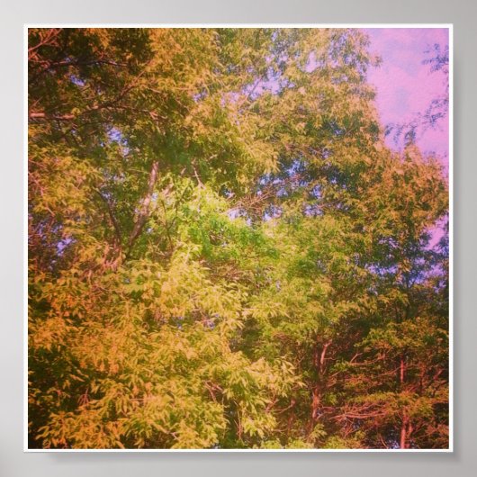 Poster Couleurs (Devant)