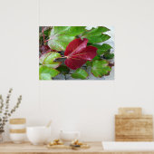 Poster couleurs automnales (Cuisine)