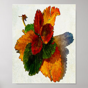 Poster Couleurs colorées des feuilles d'automne