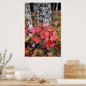 Poster Couleurs d'automne (Cuisine)