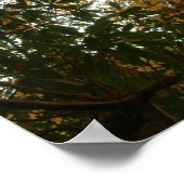 Poster Couleurs d'automne (Coin)
