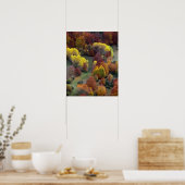 Poster Couleurs d'automne (Cuisine)