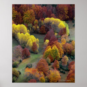 Poster Couleurs d'automne